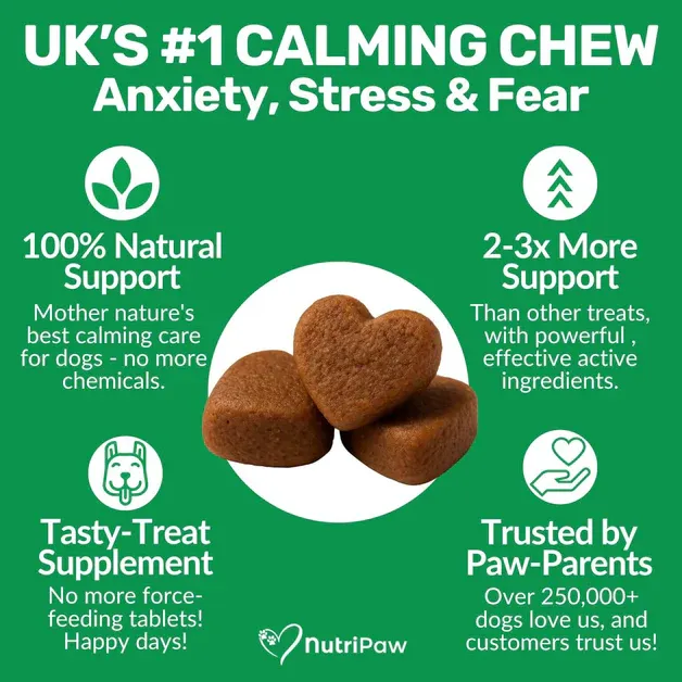 120 tasty calming treats for stress, anxiety & fear