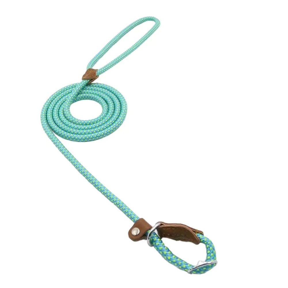 No Pull - Slip Lead Dog Training Leash