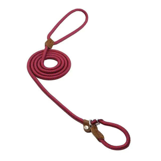 No Pull - Slip Lead Dog Training Leash
