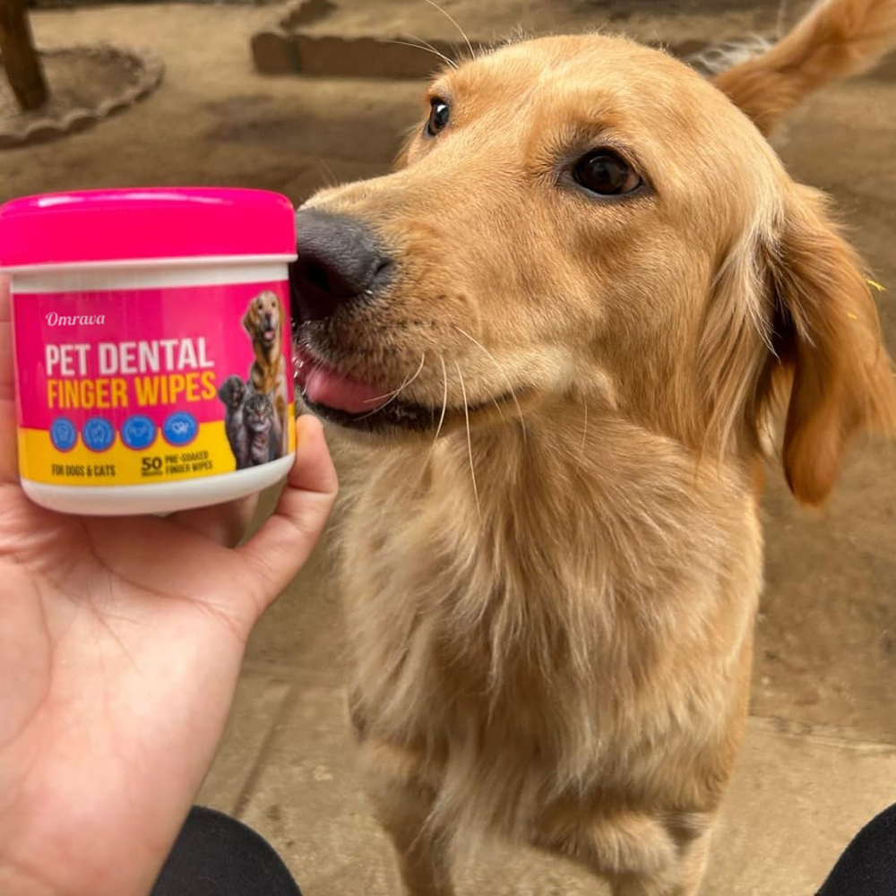 The Complete 3-Step Dog Dental System