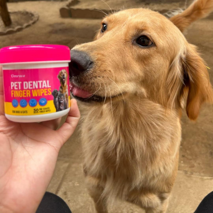 The Complete 3-Step Dog Dental System