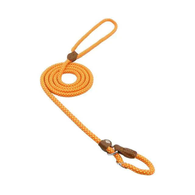 No Pull - Slip Lead Dog Training Leash