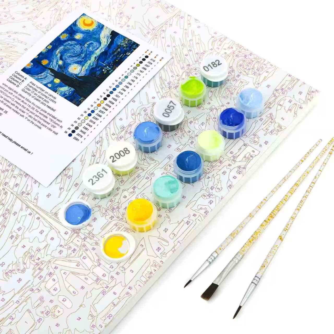 Custom Paint by Numbers Kit