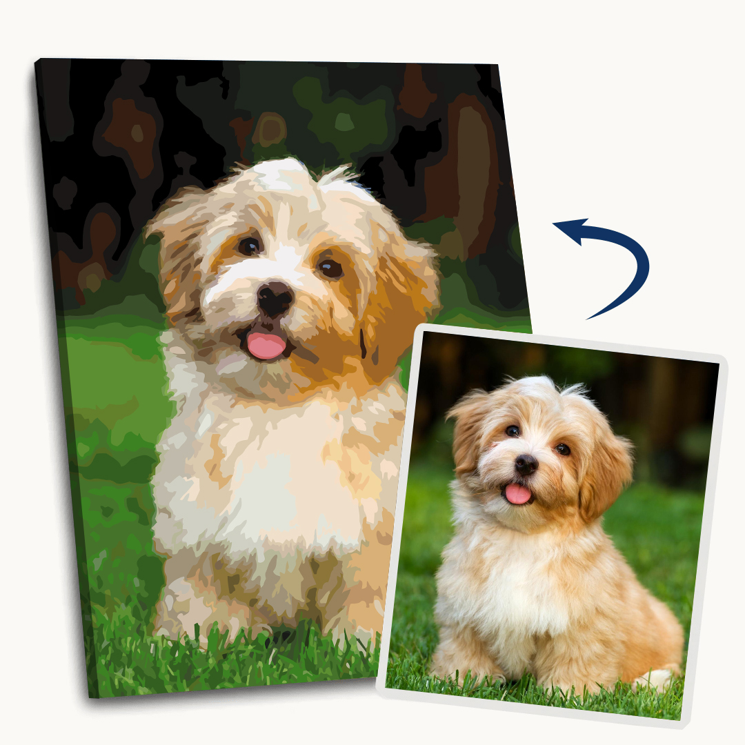 Custom Paint by Numbers Kit