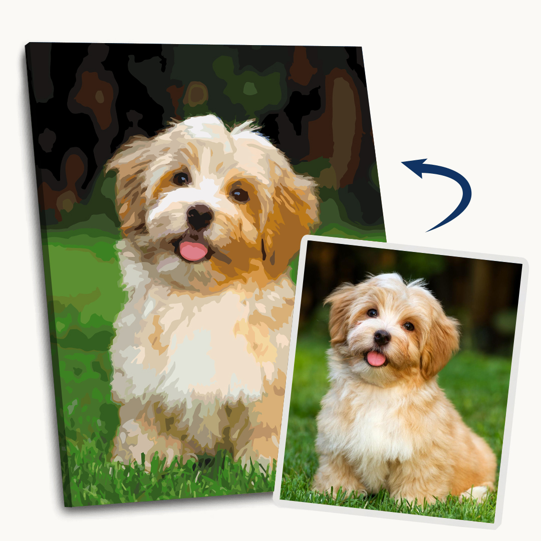 Custom Paint by Numbers Kit