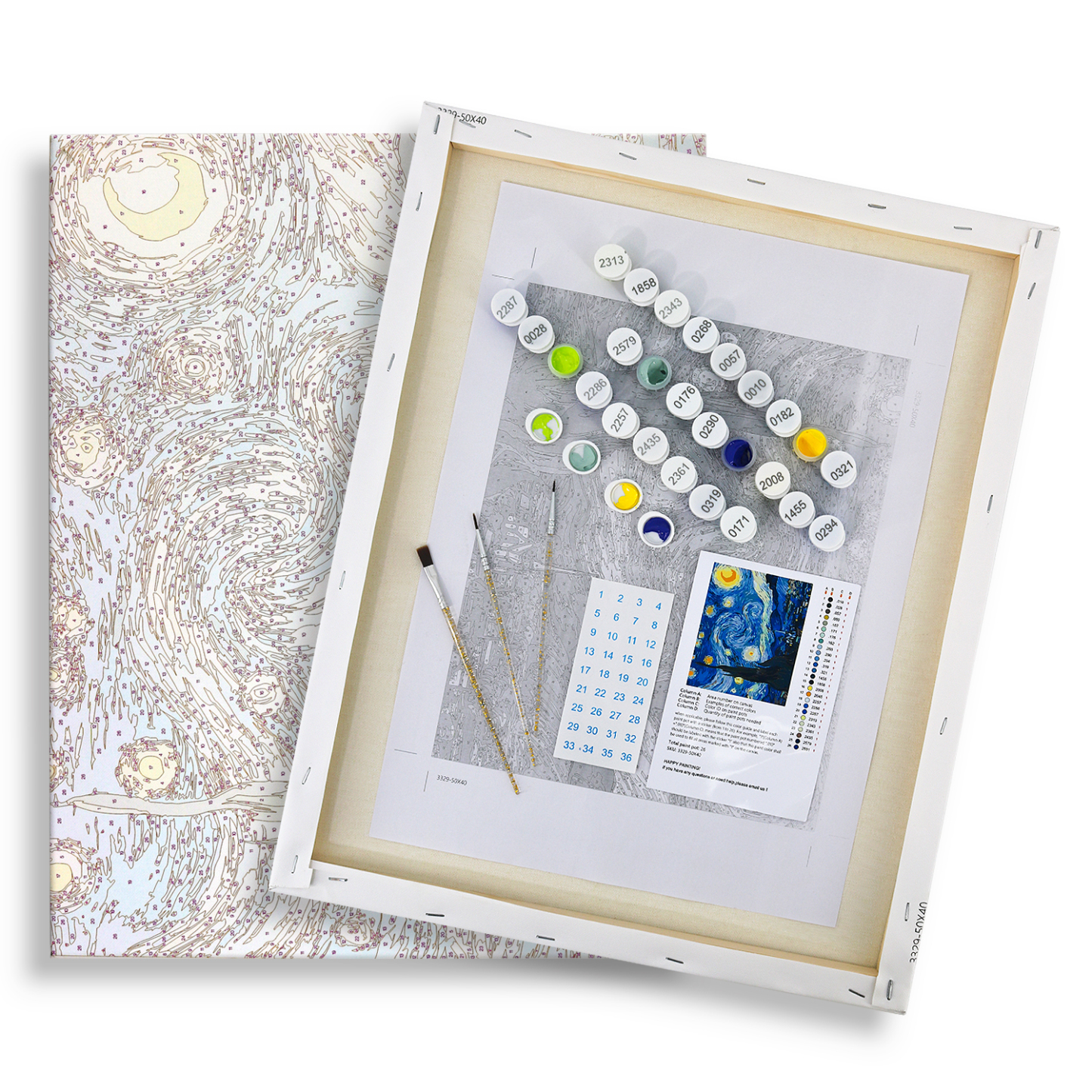 Custom Paint by Numbers Kit