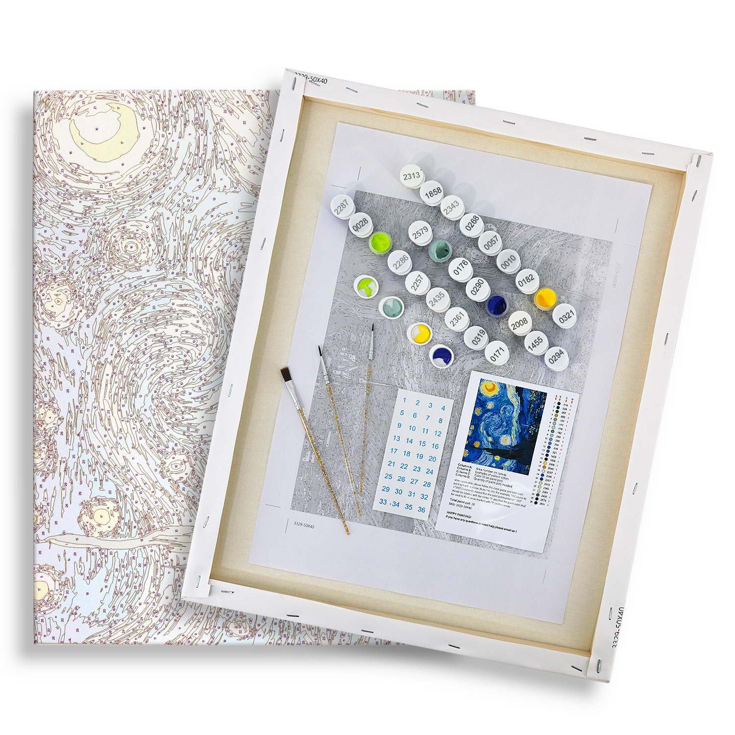 Custom Paint by Numbers Kit