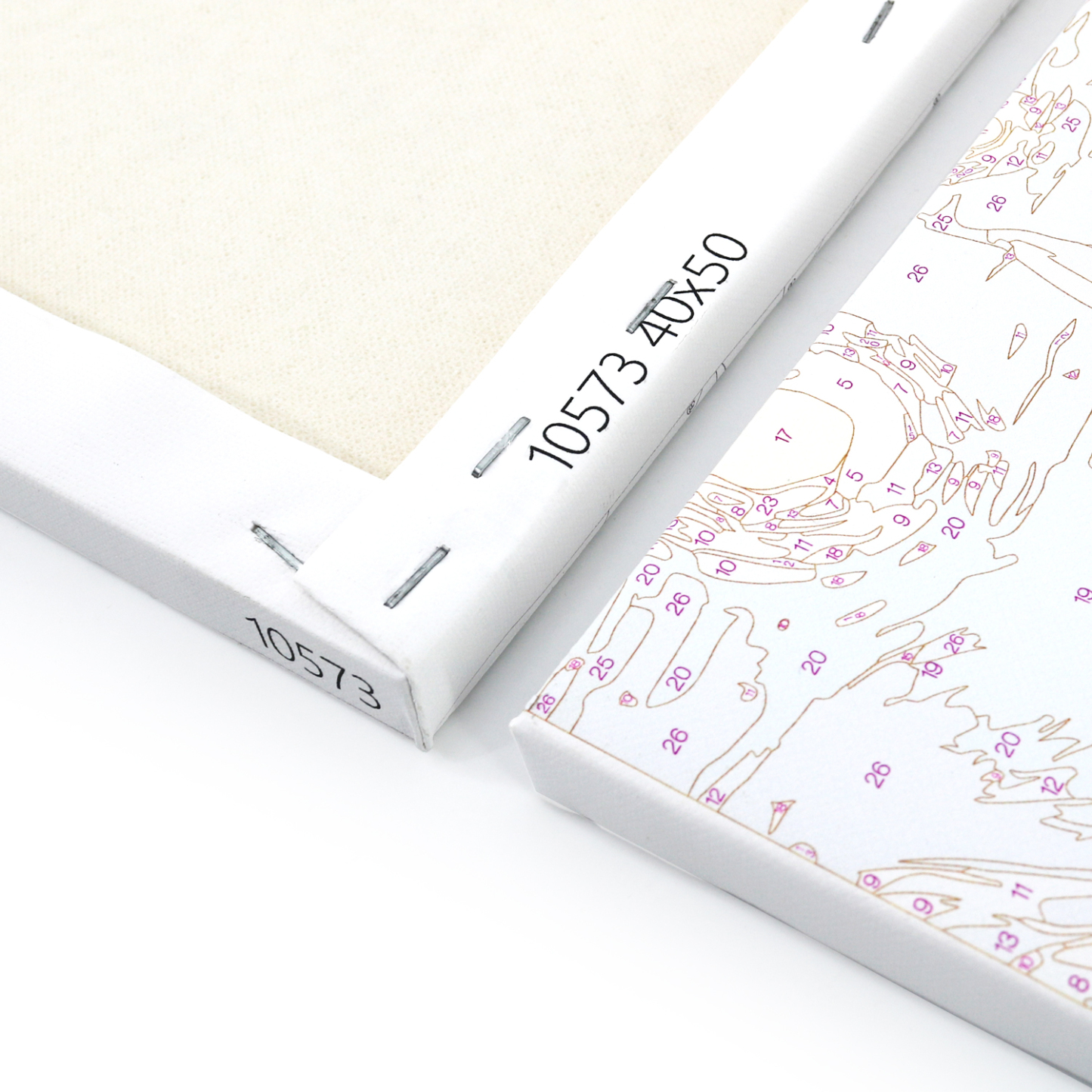 Custom Paint by Numbers Kit