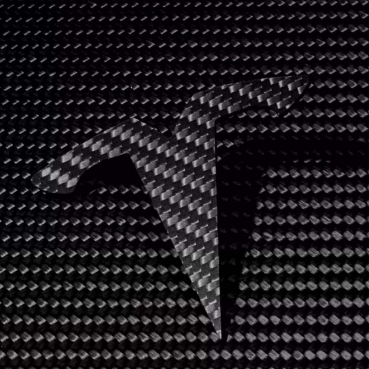 Teslula Carbon Fiber Emblem Set for Tesla Model 3/Y-Front & Rear Badge