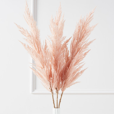Pampas Grass - Set of 3