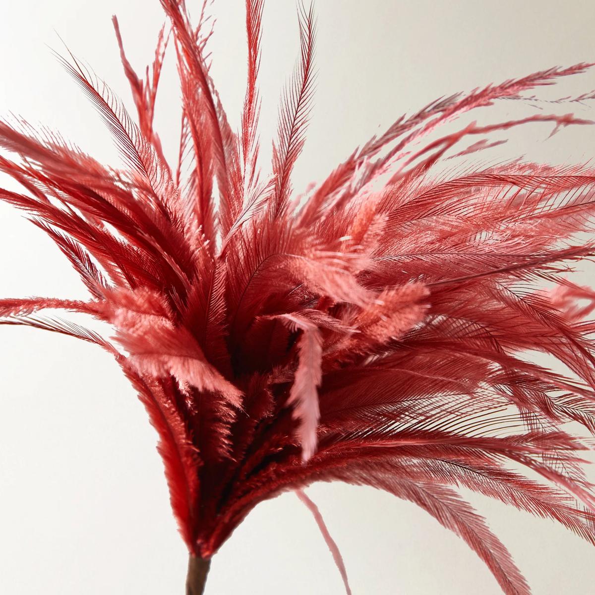 Red Feather Pick 23.5