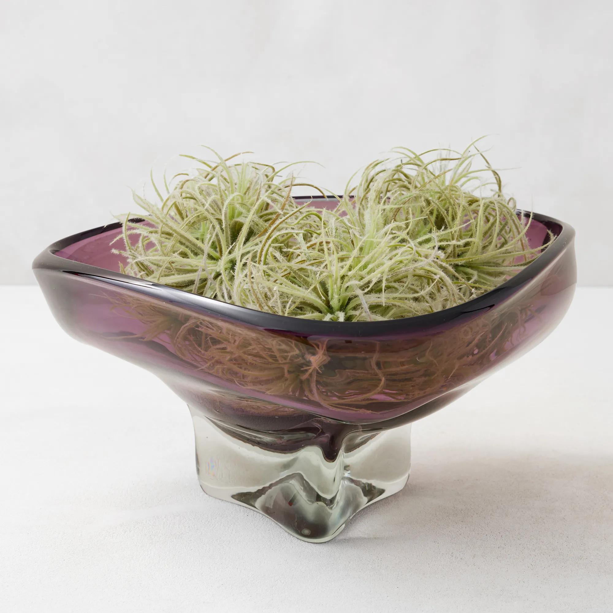 鉢・プランター spicygem Meteorite BOWL pot ver APOLLO 鉢