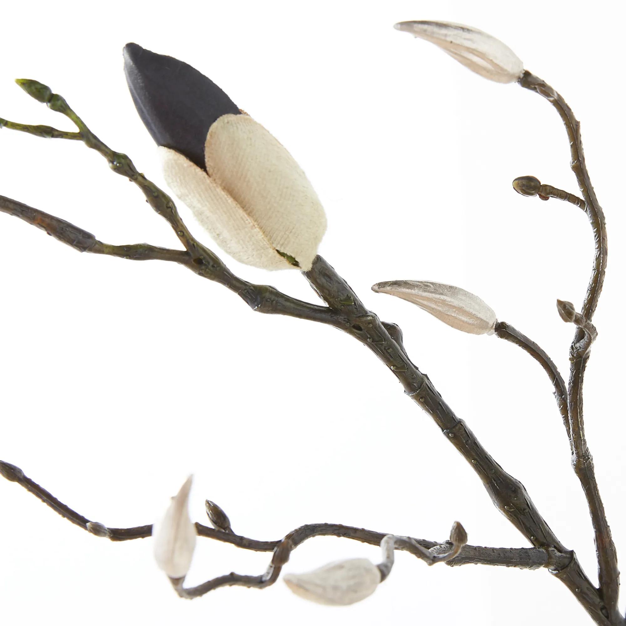 Magnolia Spray - Set of 3
