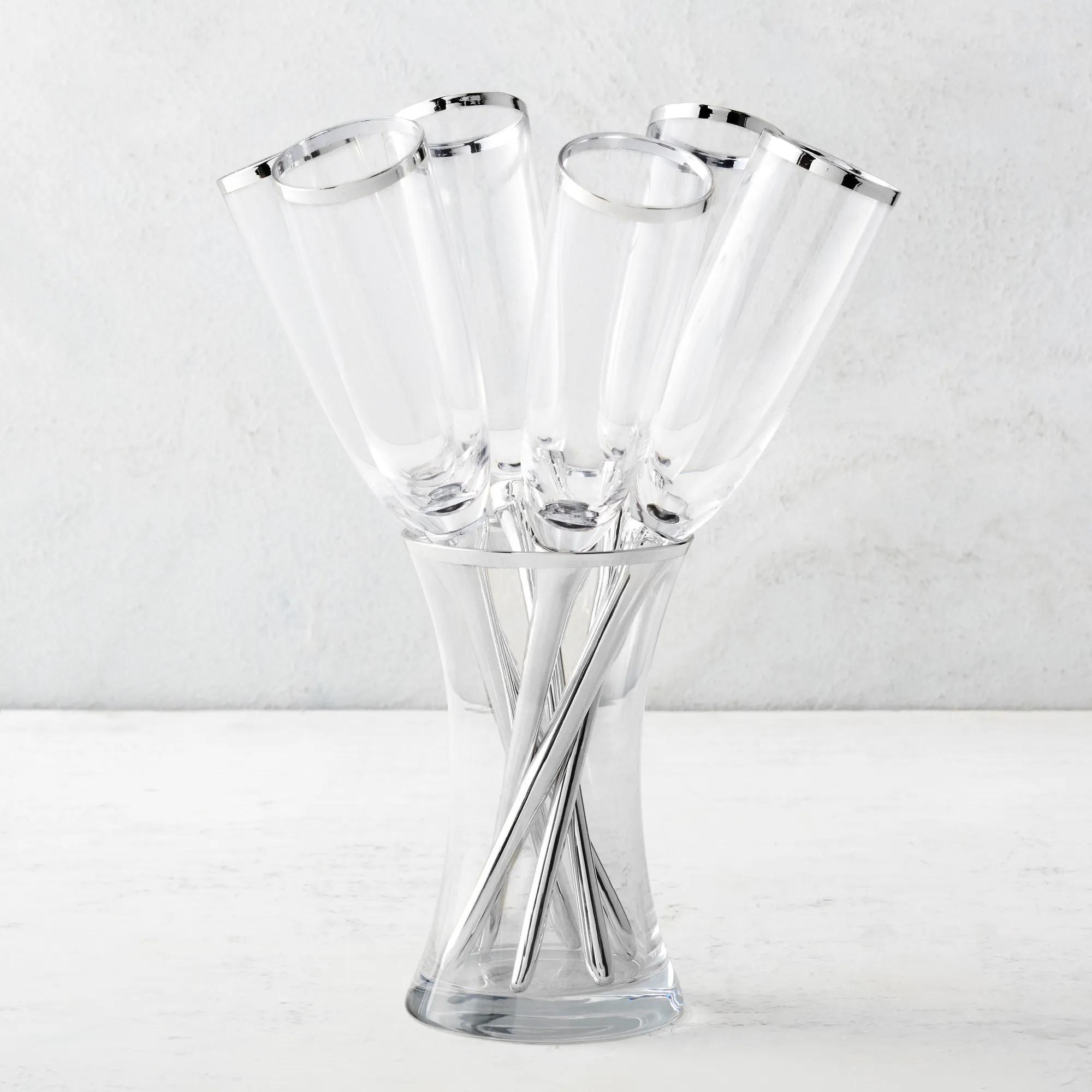 Salud Toasting Flutes - Set of 6