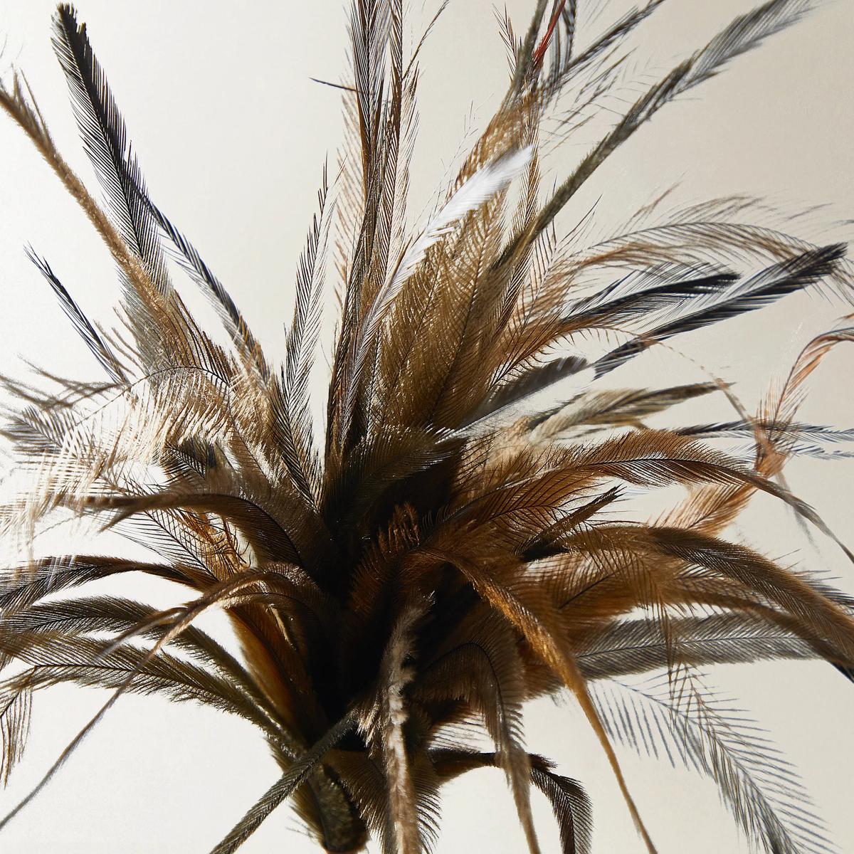 Dark Brown Feather Pick 23.5" - Set of 3