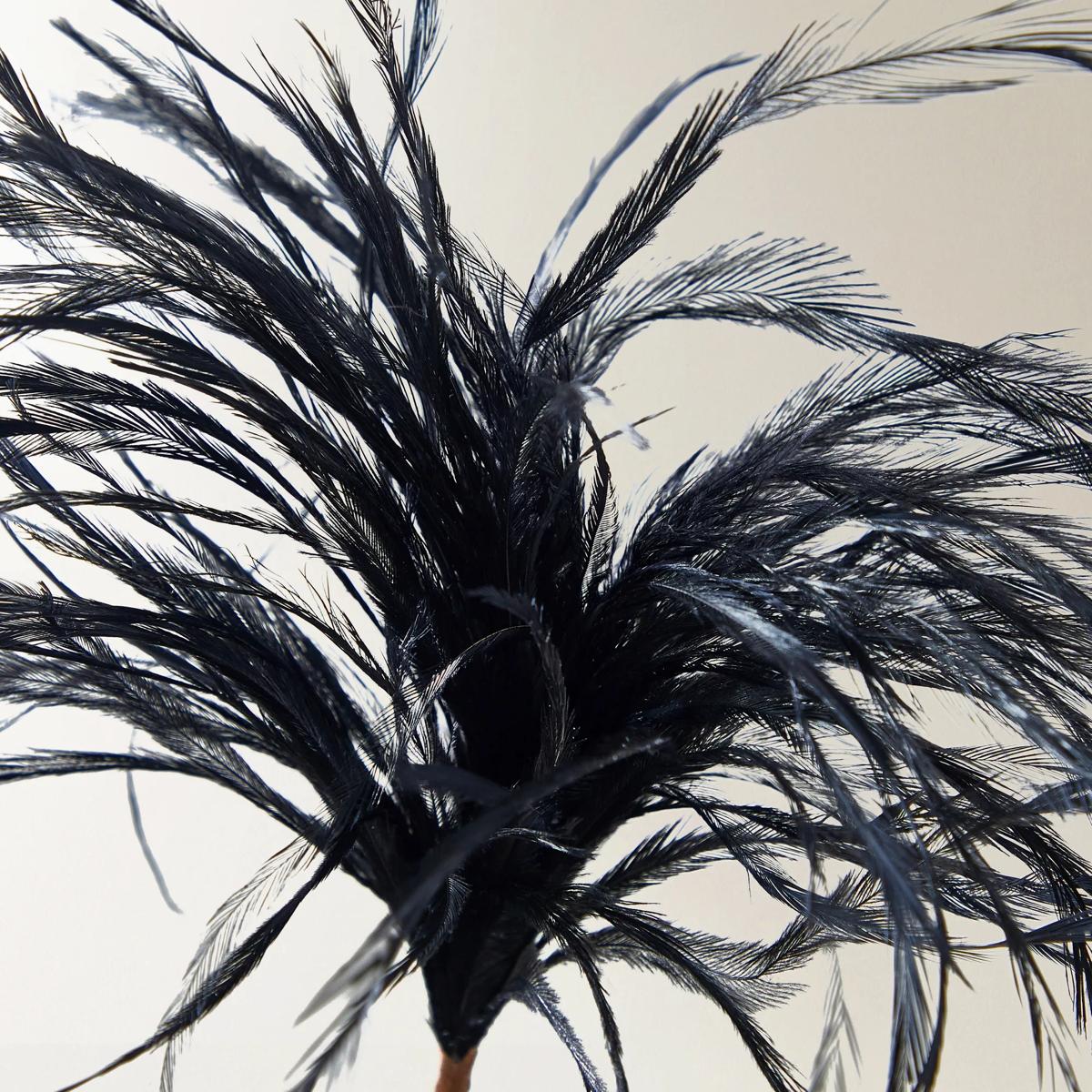 Black Feather Pick 23.5" - Set of 3