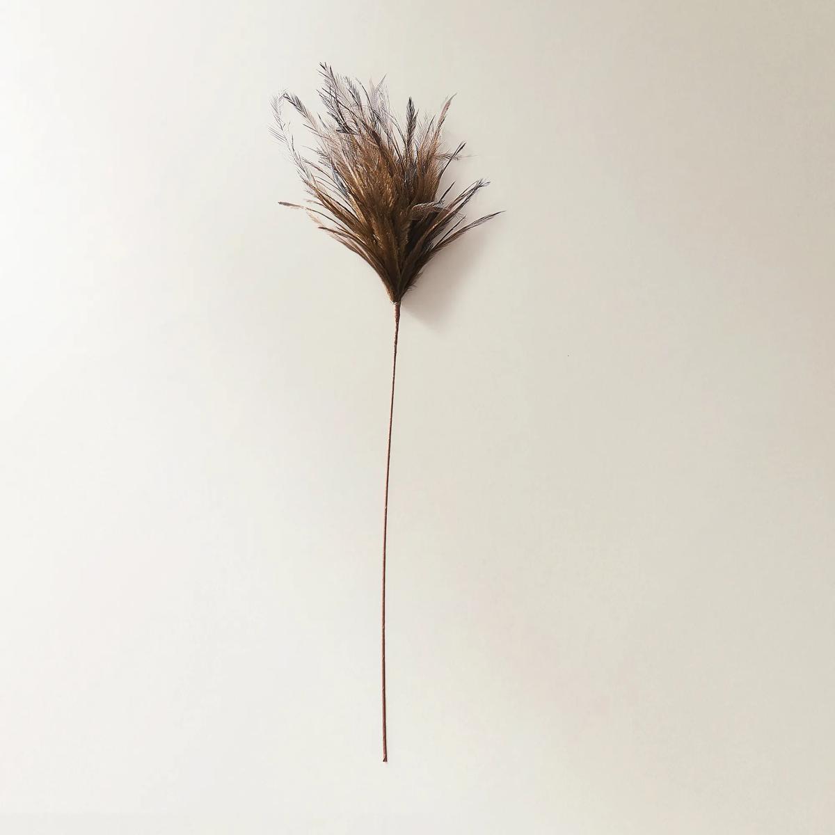 Dark Brown Feather Pick 23.5" - Set of 3