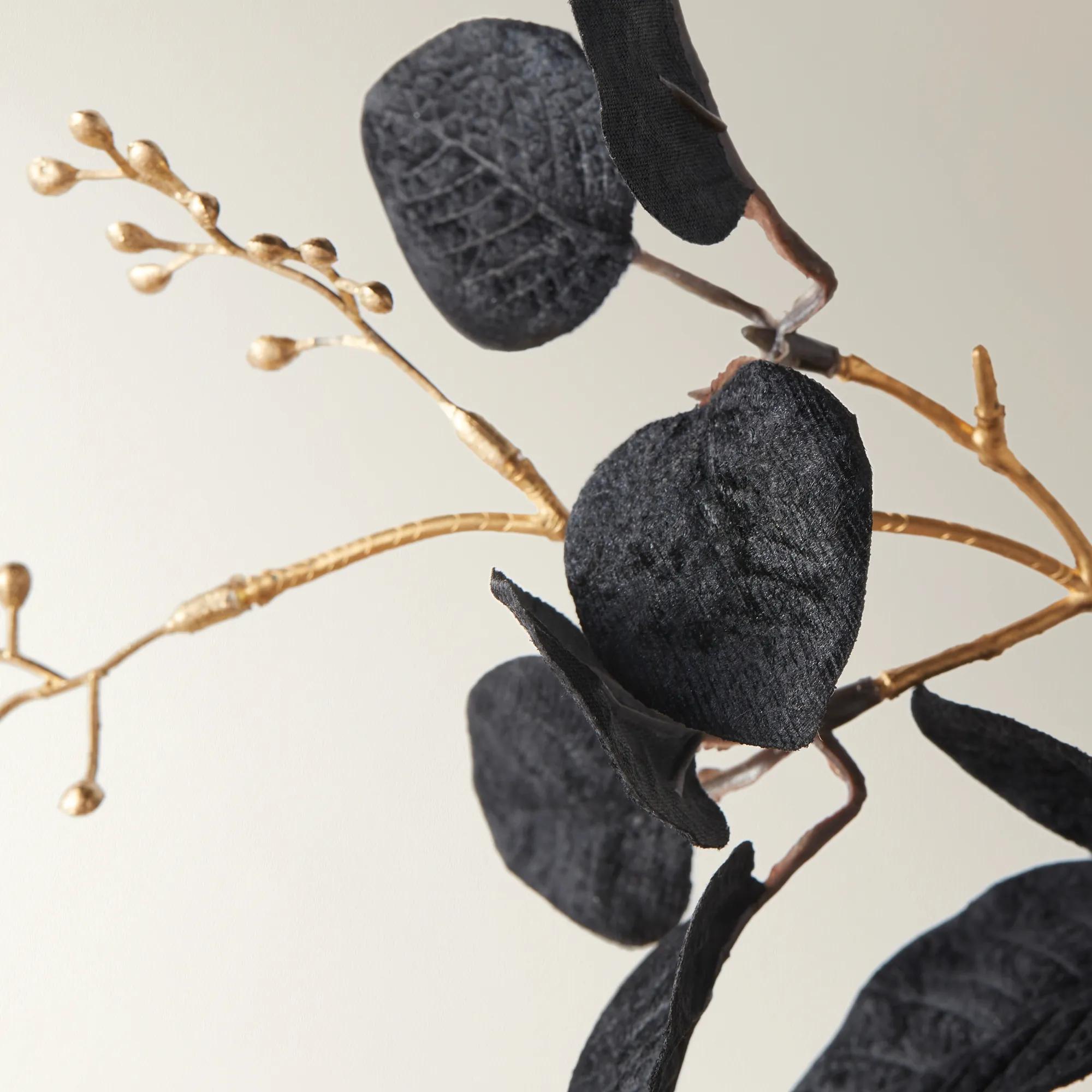 Eucalyptus Spray - Set of 3