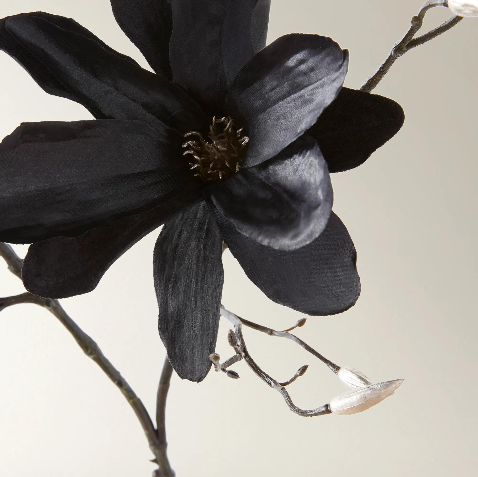 Magnolia Spray - Set of 3