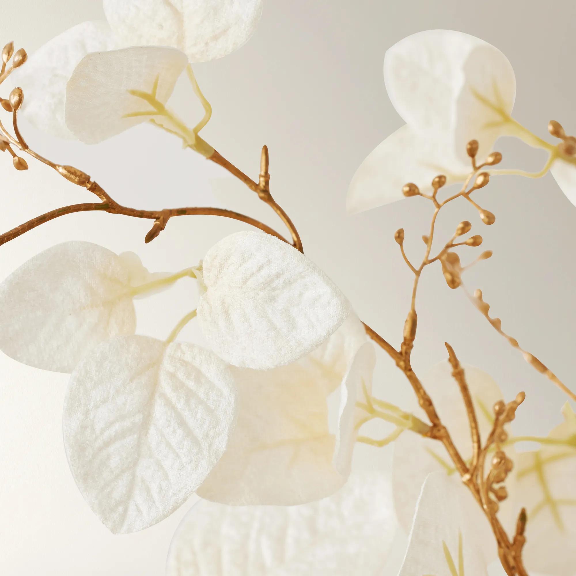 Eucalyptus Spray - Set of 3