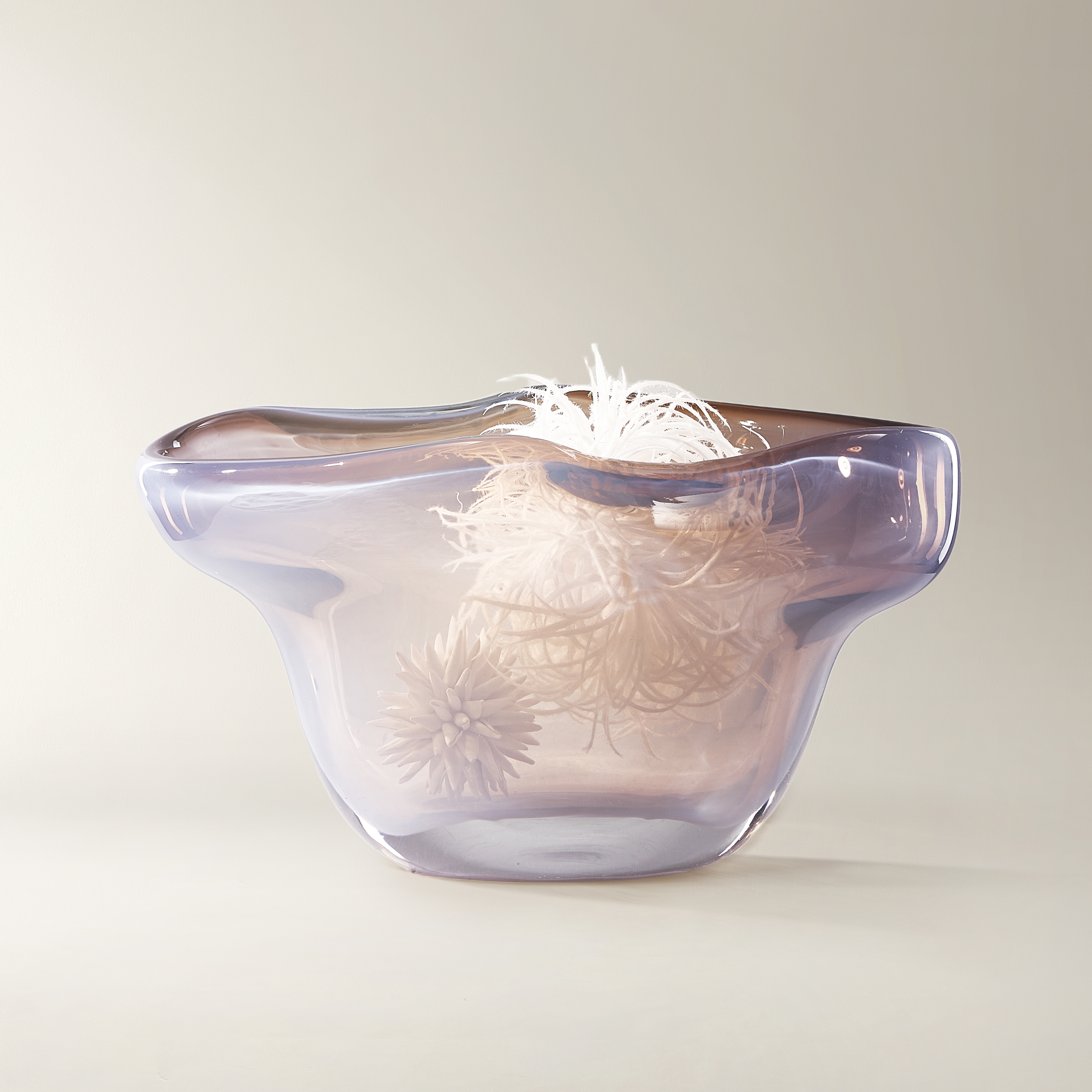 Aura Collection