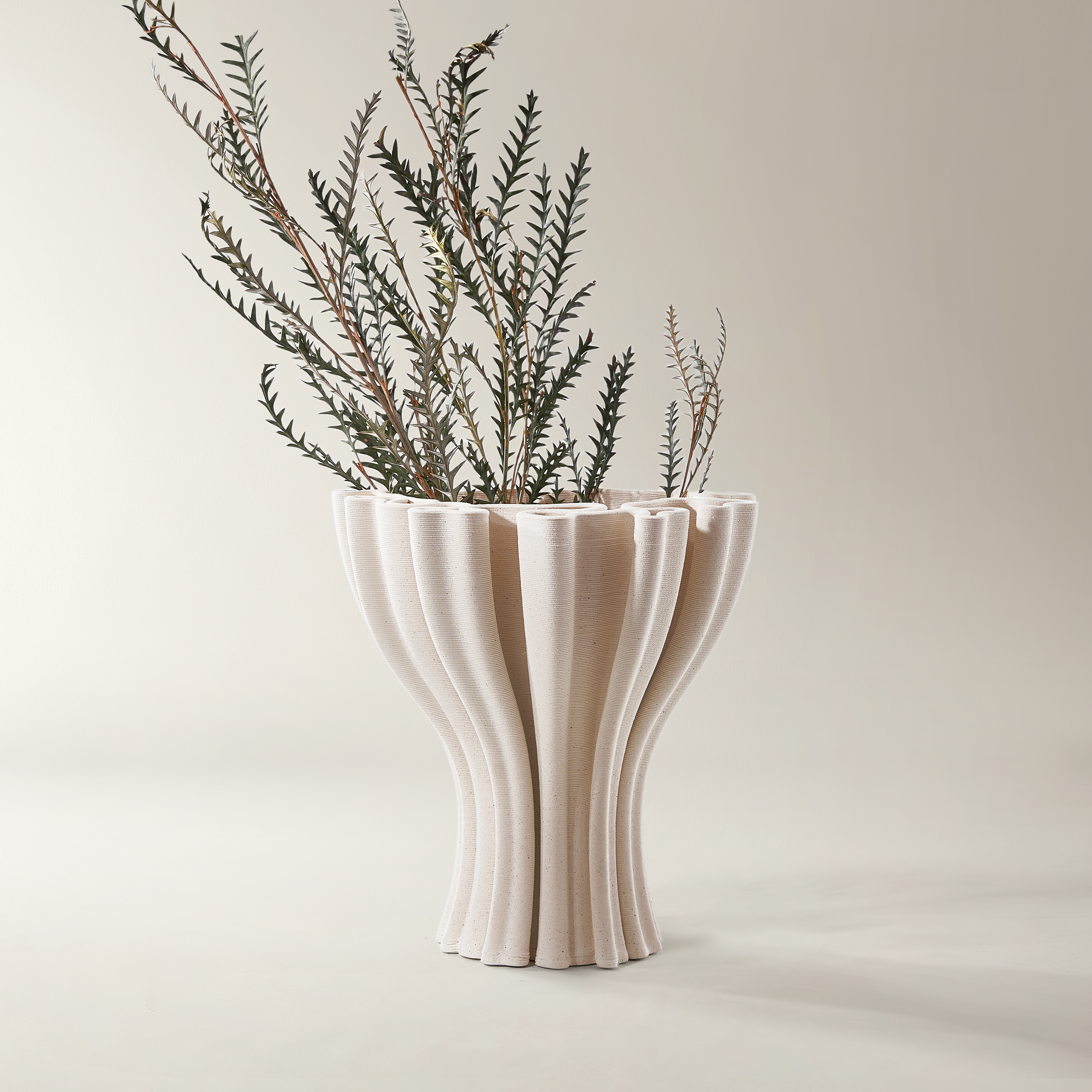 Coral Porcelain Collection