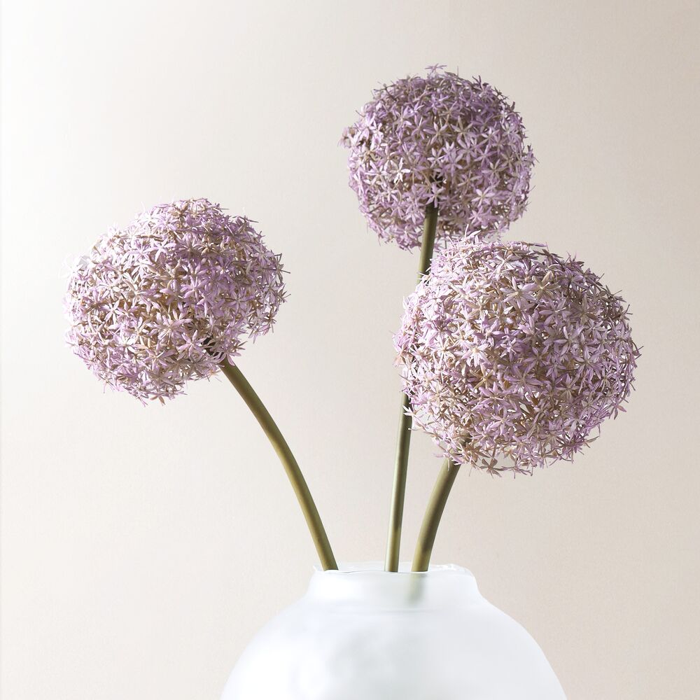Floral | Z Gallerie