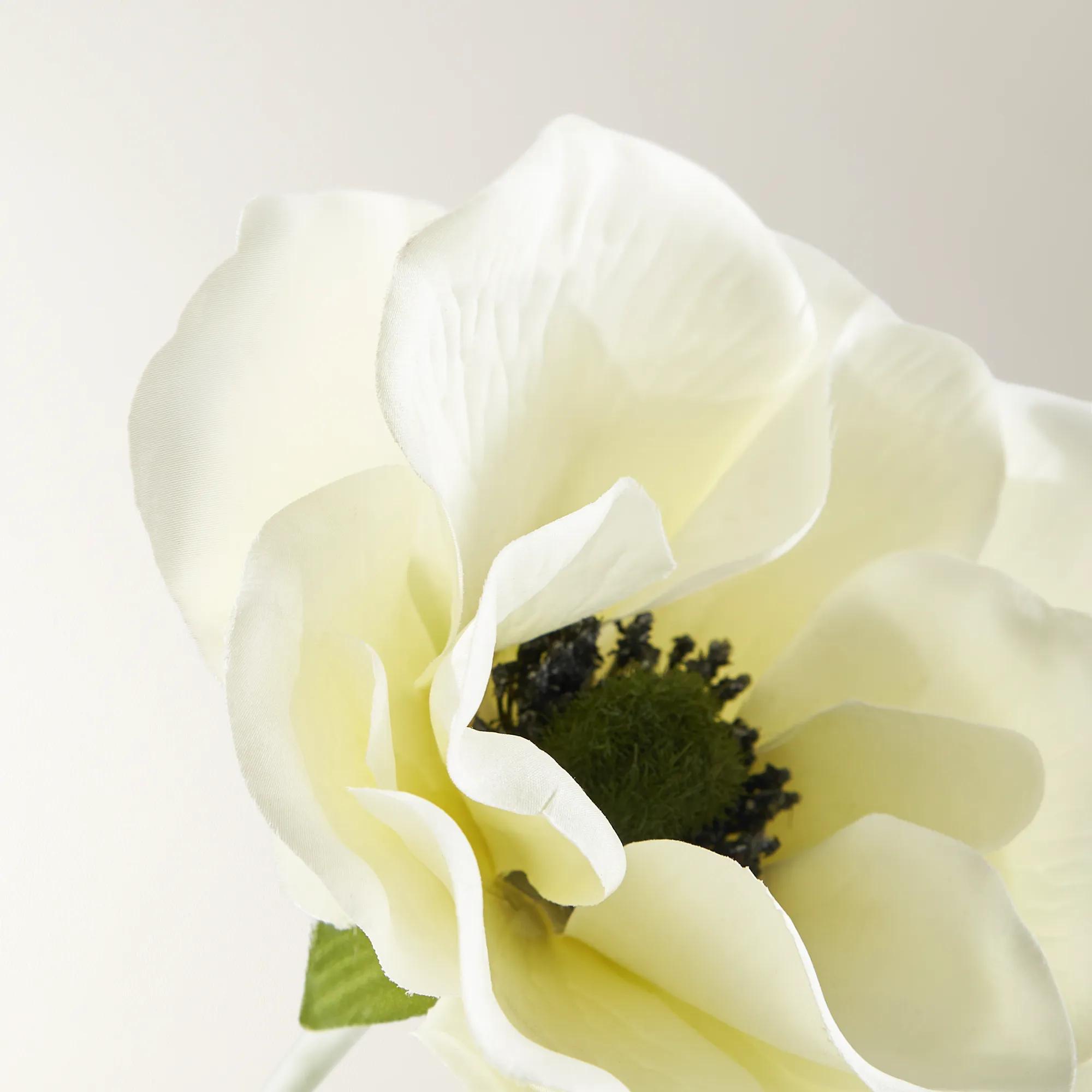 Anemone Ivory 21" - Set of 3