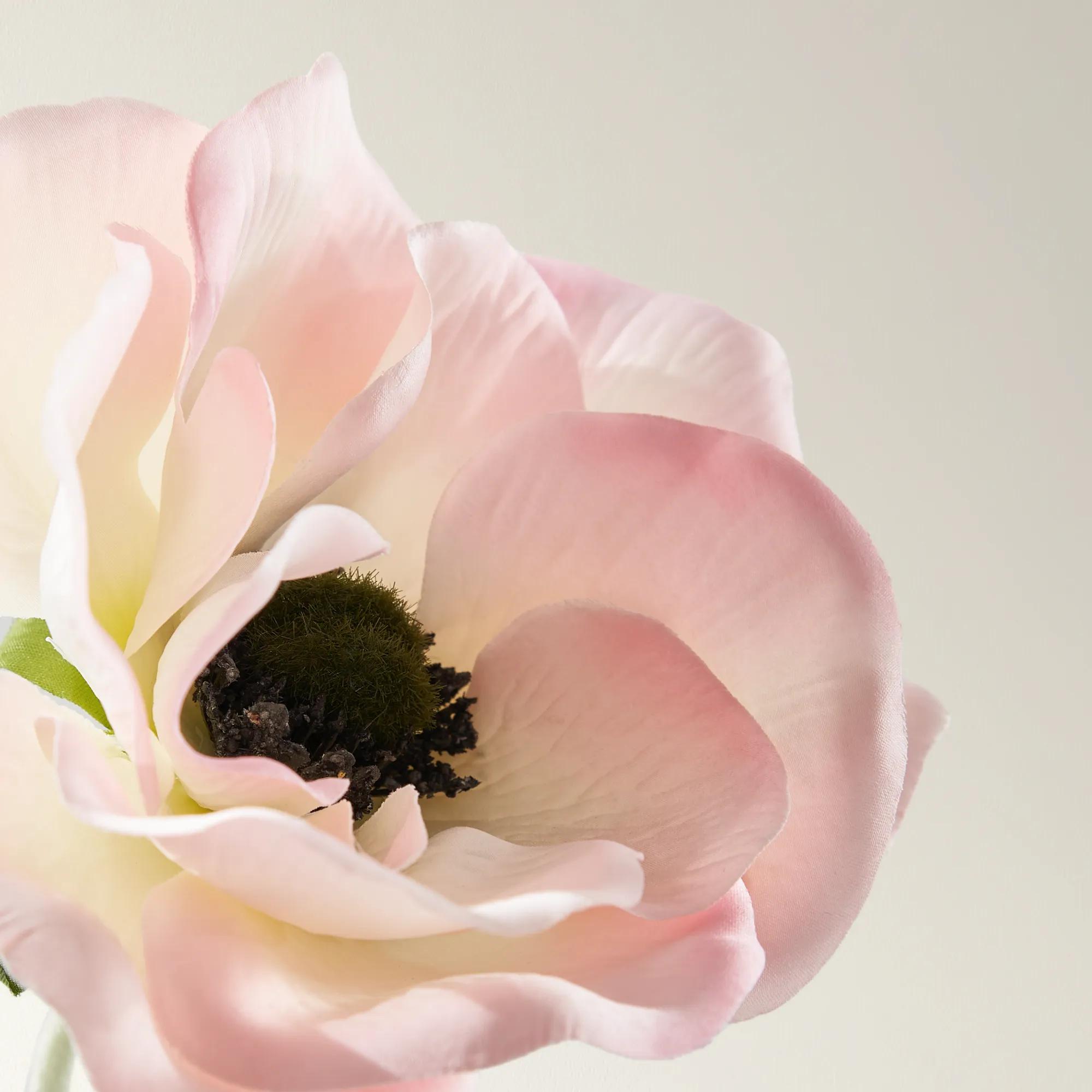 Anemone Blush 21" - Set of 3