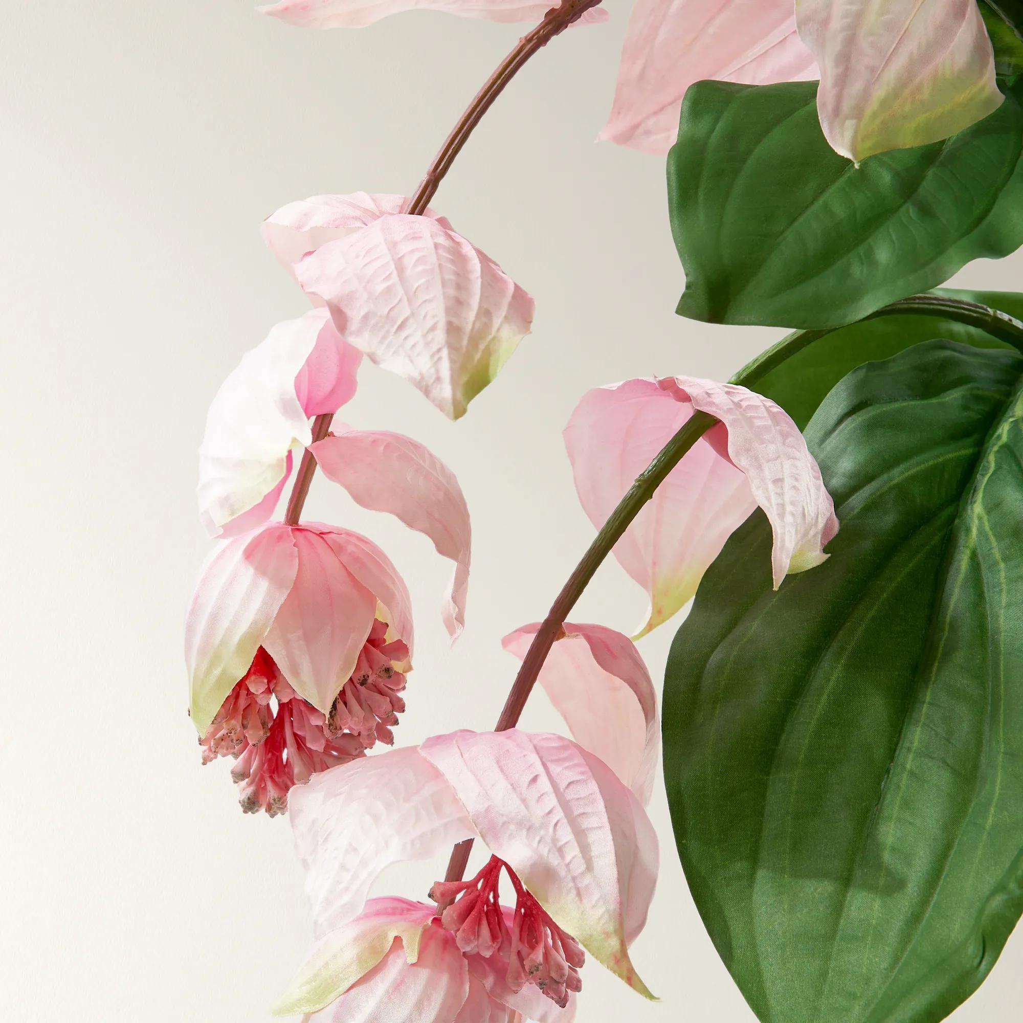 Midinella Stem Pink 52" - Set of 3