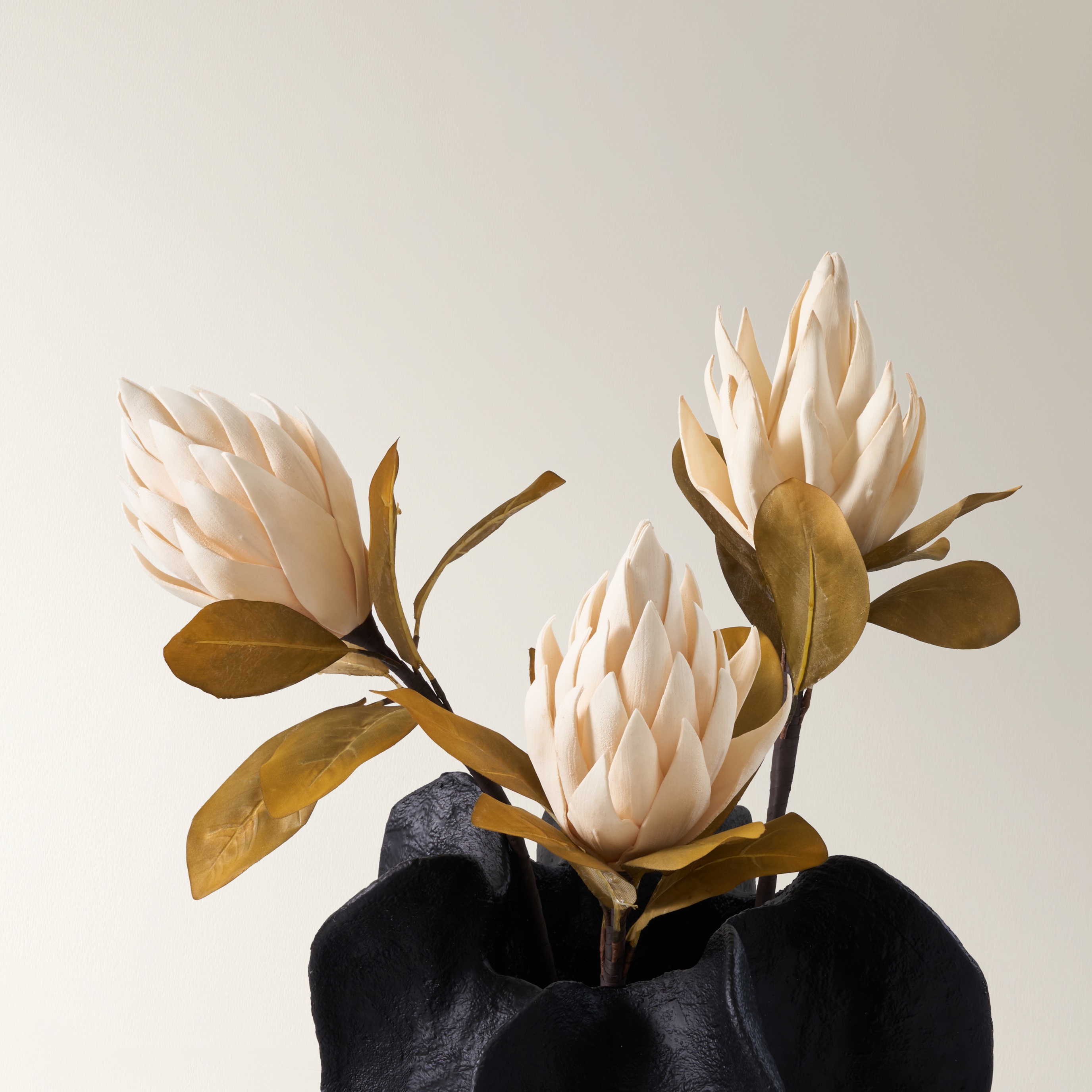 Protea Stem Cream 33" - Set of 3