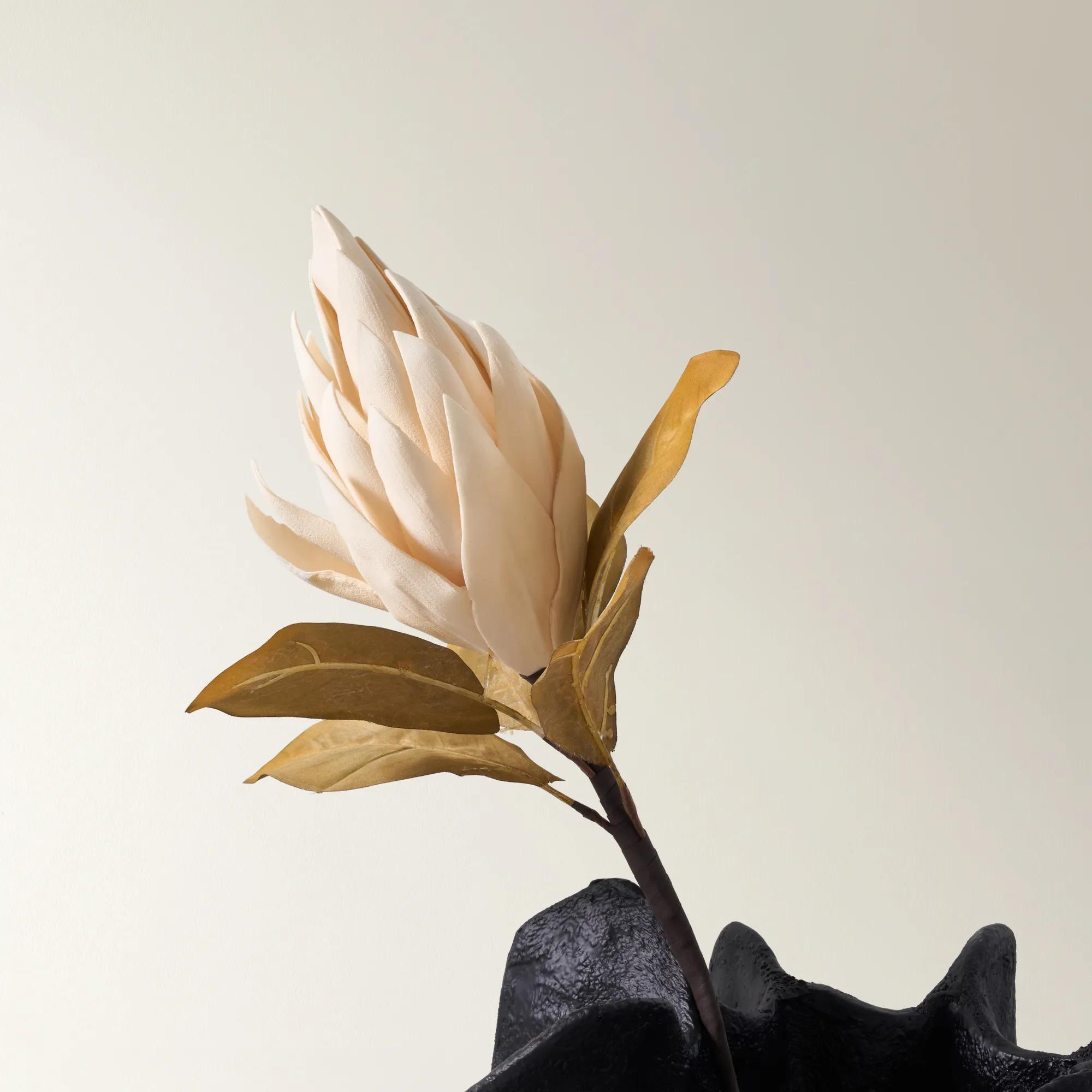 Protea Stem Cream 33" - Set of 3