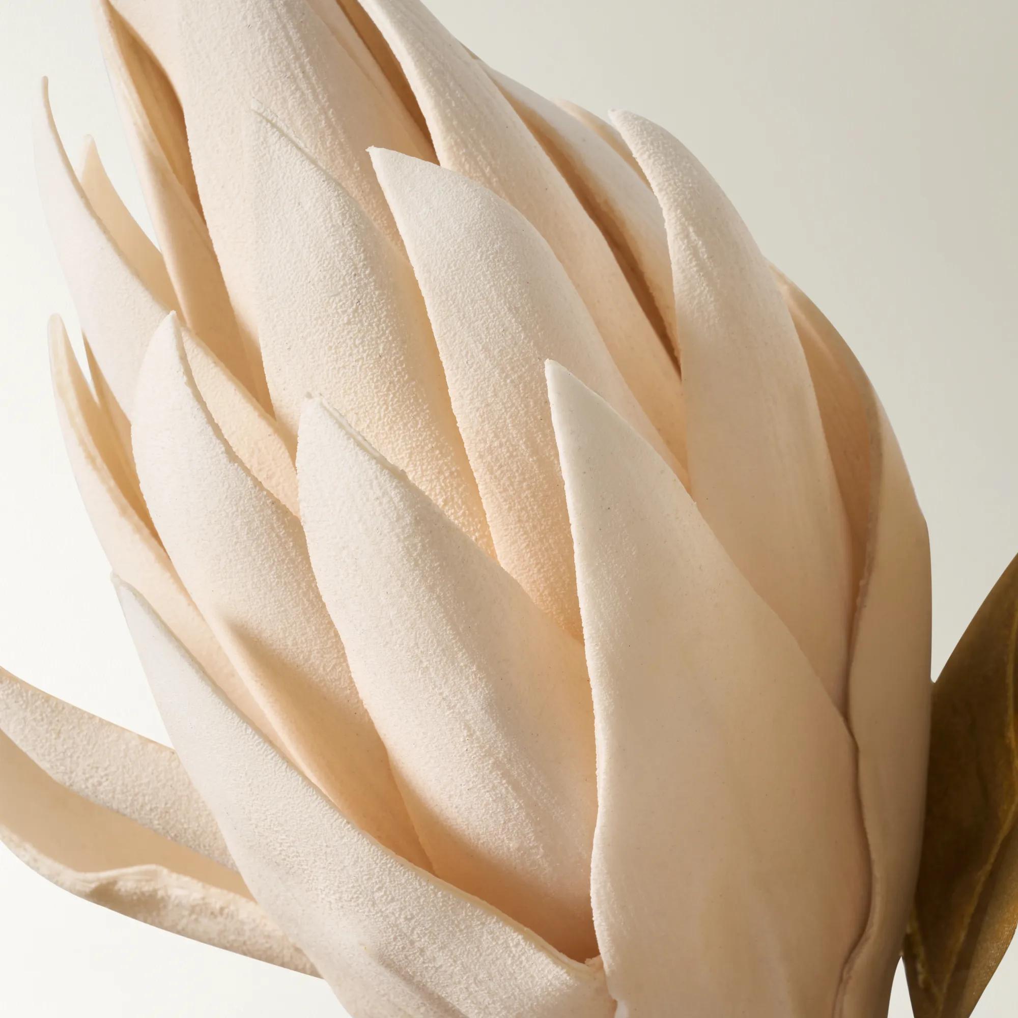 Protea Stem Cream 33" - Set of 3