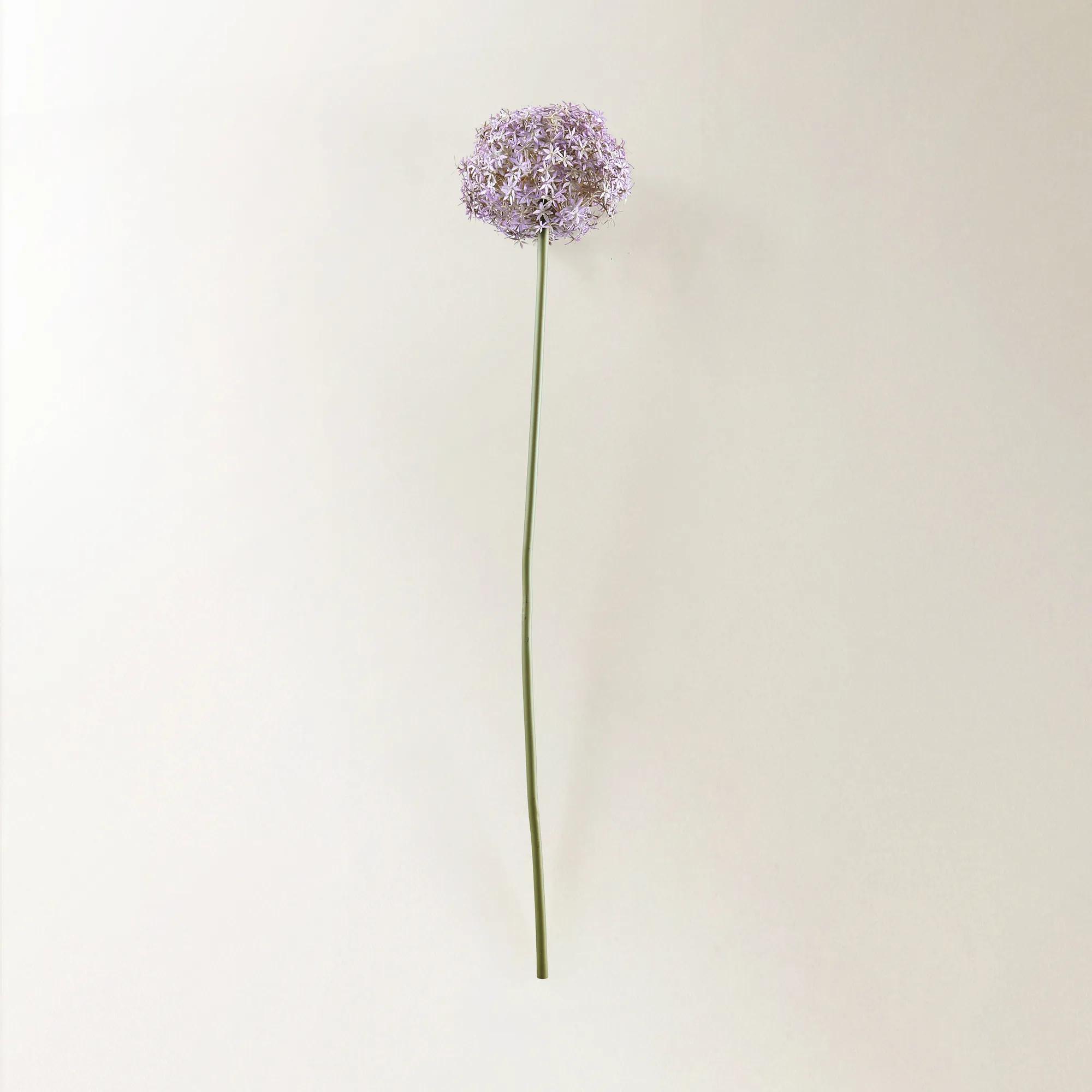 Amethyst Allium Bulb 40" - Set of 3