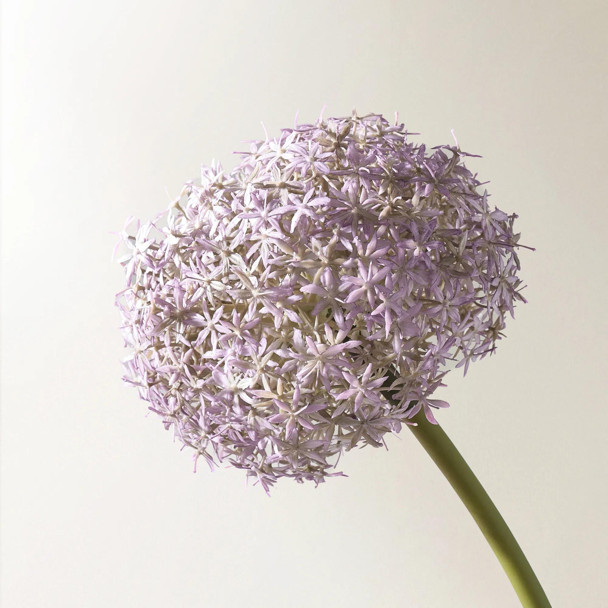 Amethyst Allium Bulb 40" - Set of 3