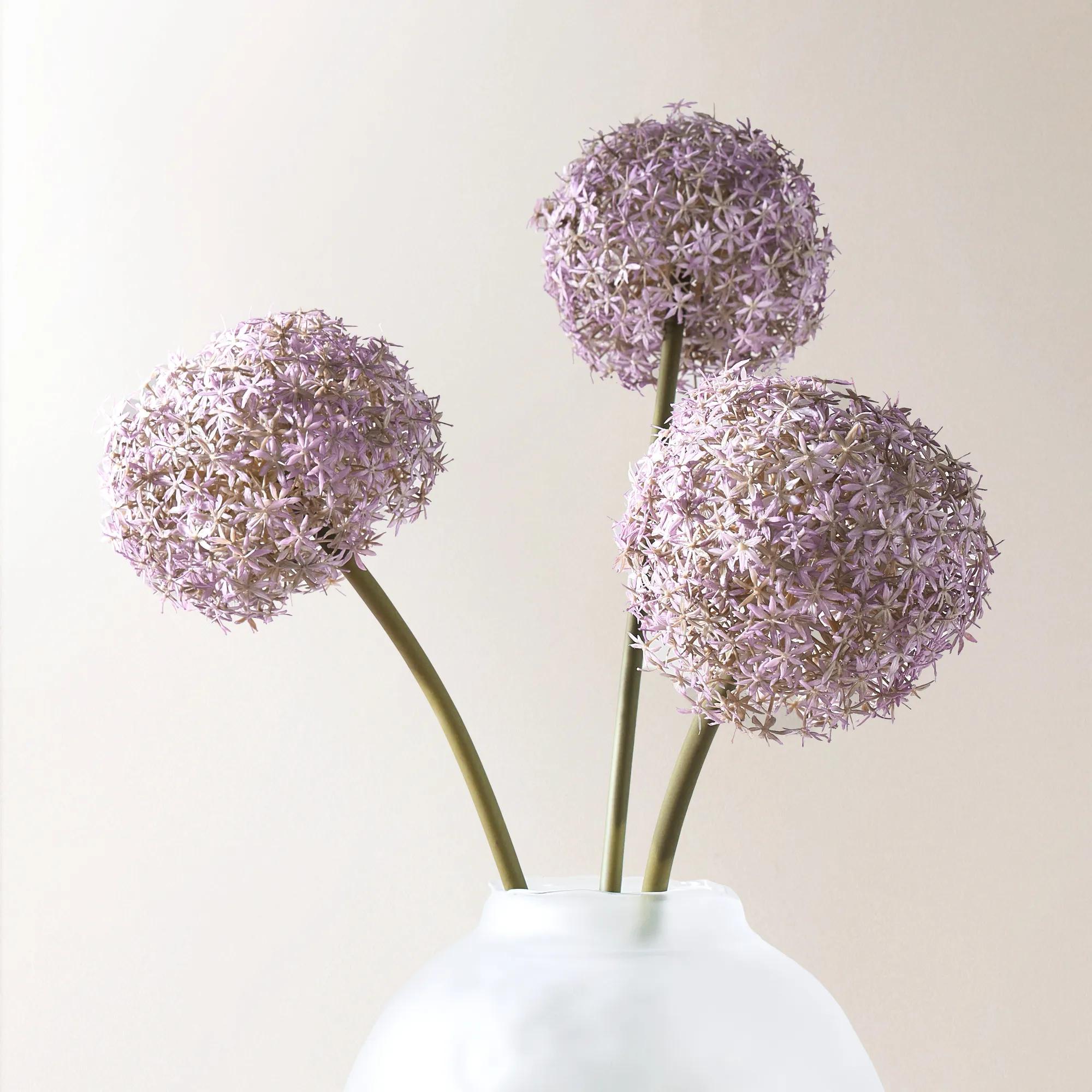 Amethyst Allium Bulb 40" - Set of 3
