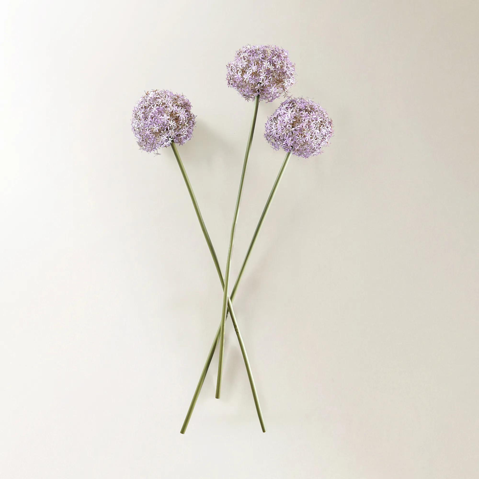Amethyst Allium Bulb 40" - Set of 3