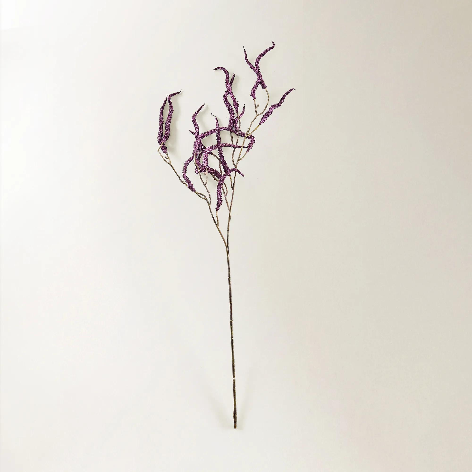 Dark Amethyst Amaranthus 30" - Set of 3