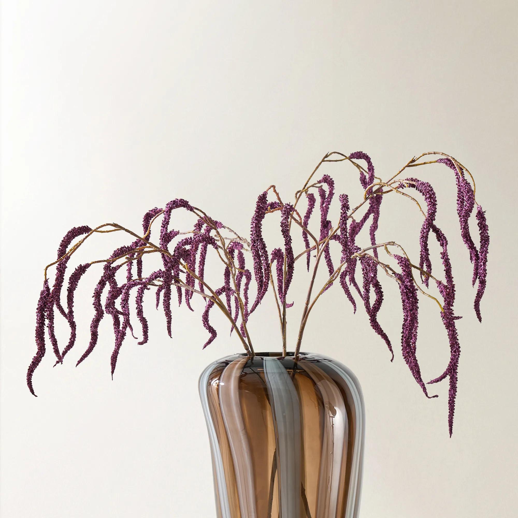 Dark Amethyst Amaranthus 30" - Set of 3