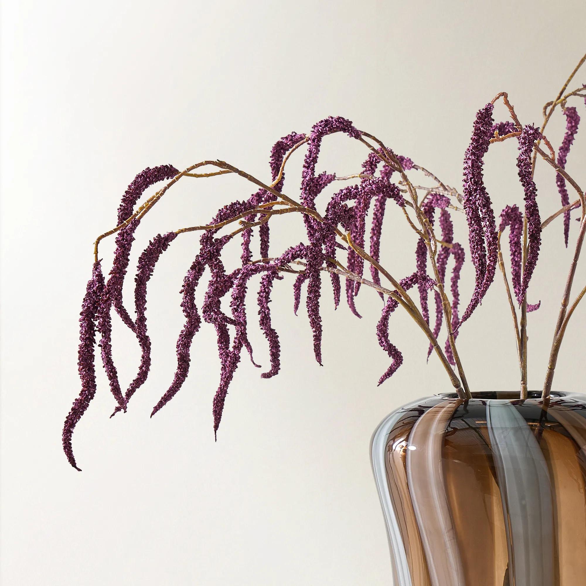 Dark Amethyst Amaranthus 30" - Set of 3