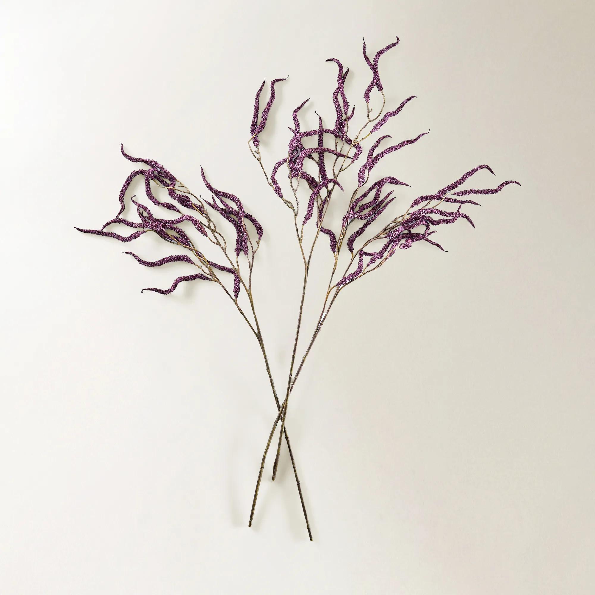 Dark Amethyst Amaranthus 30" - Set of 3