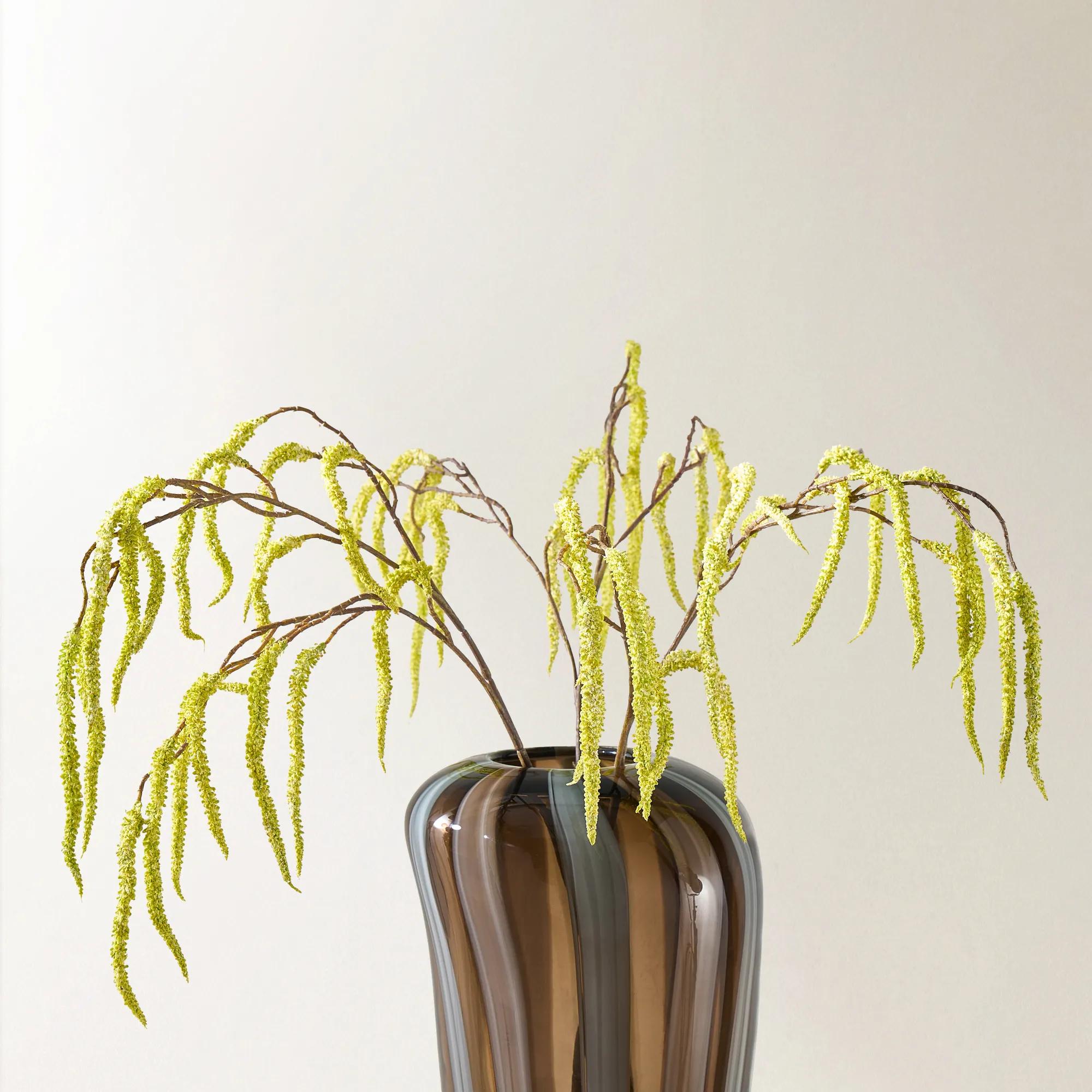 Citron Yellow Amaranthus 30" - Set of 3