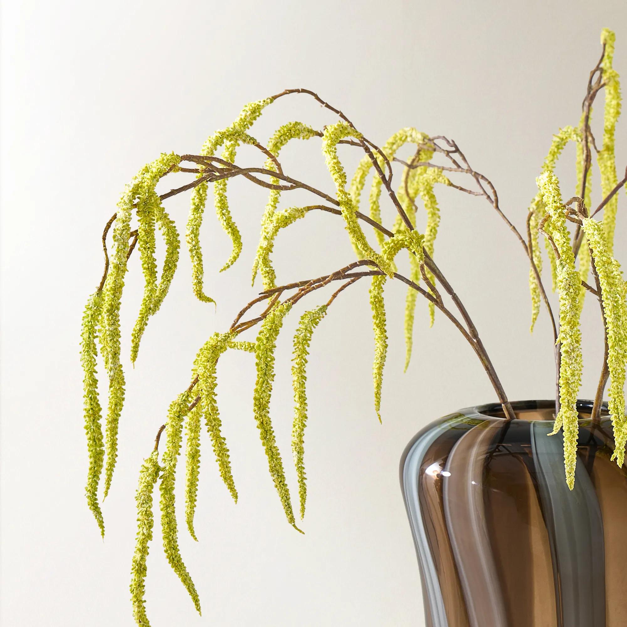 Citron Yellow Amaranthus 30" - Set of 3