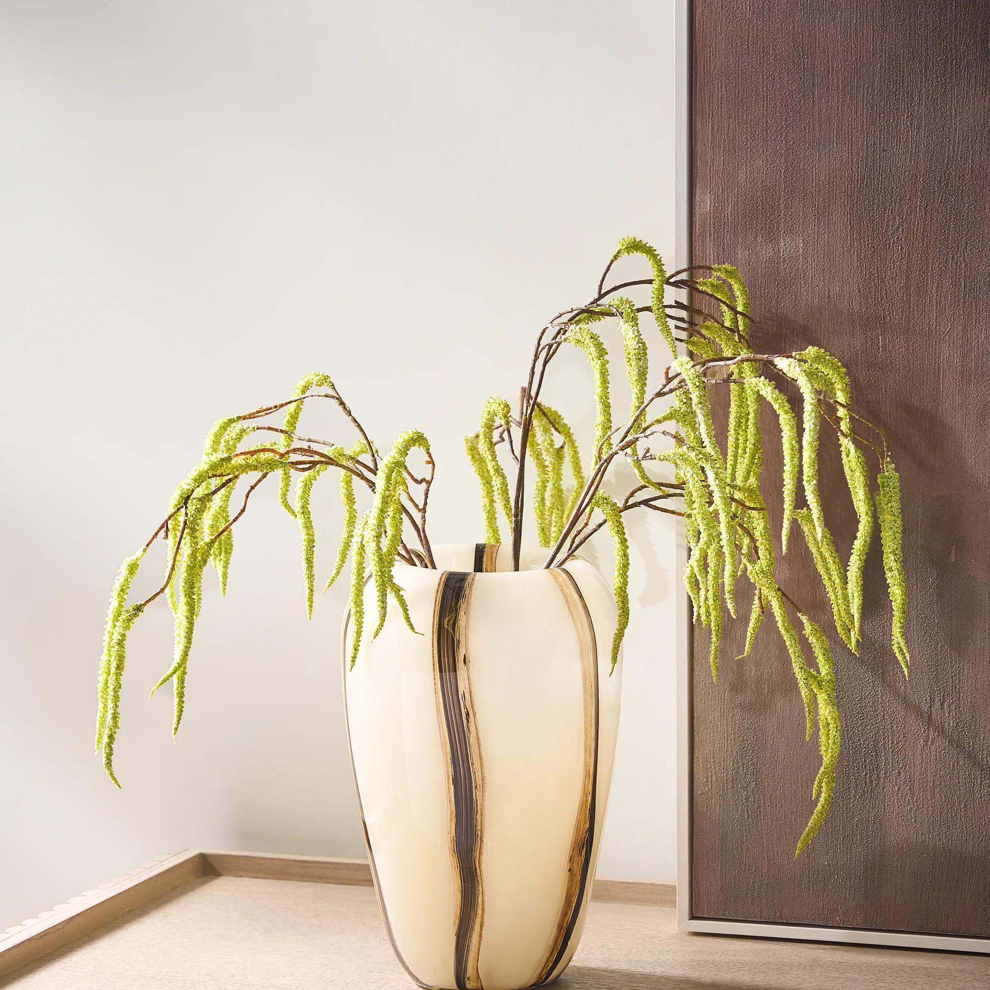 Citron Yellow Amaranthus 30" - Set of 3