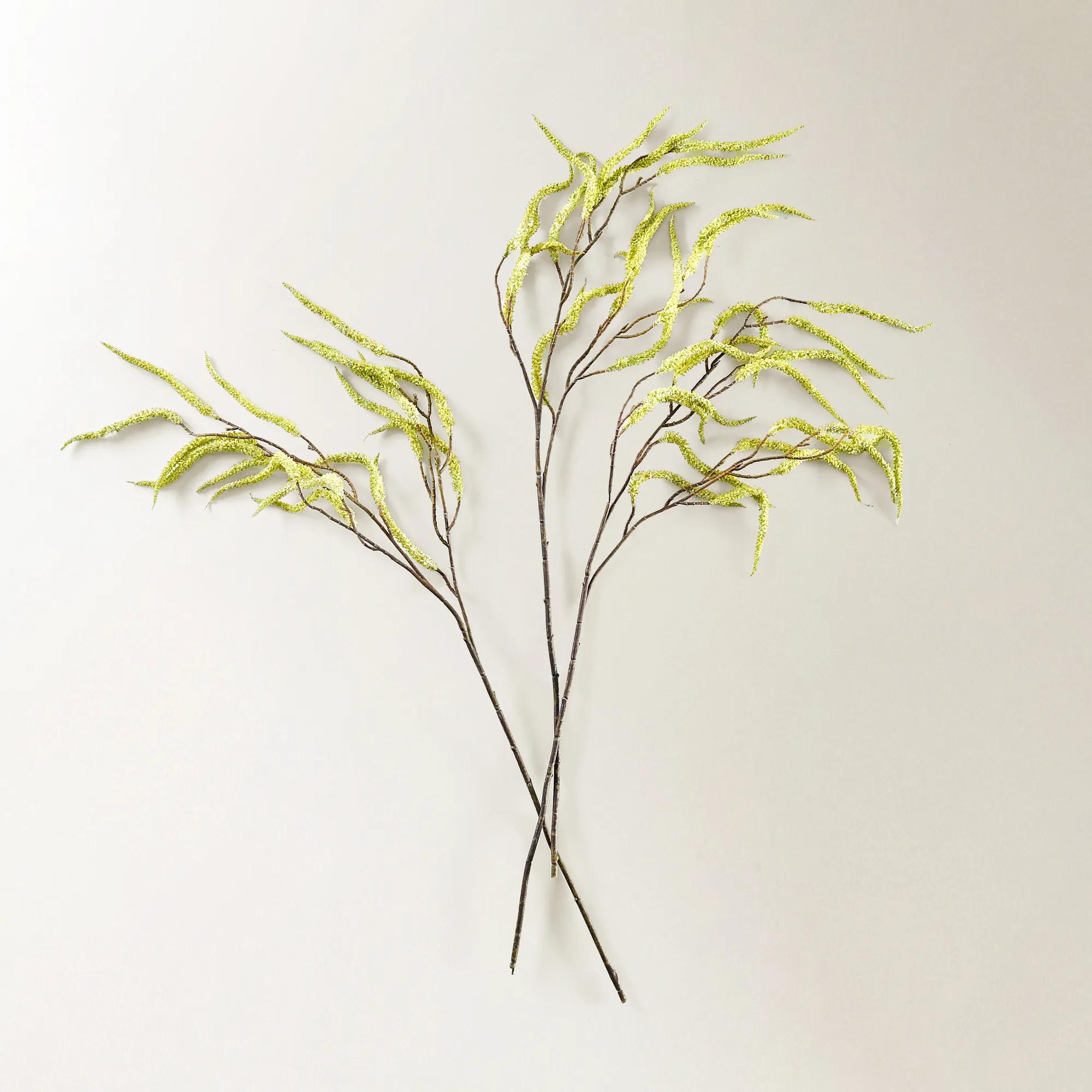 Citron Yellow Amaranthus 30" - Set of 3