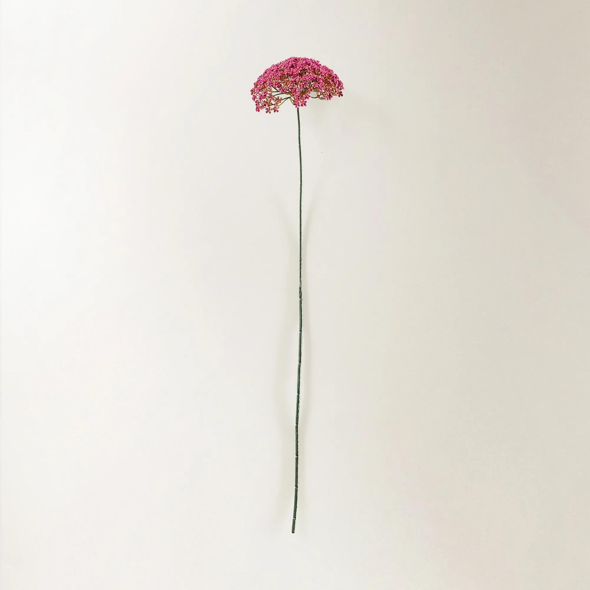 Berry Pink Heracleum 29" - Set of 3