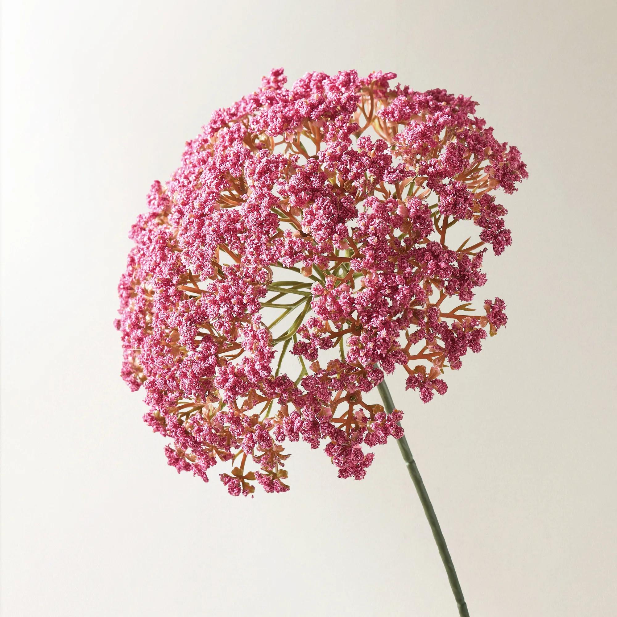 Berry Pink Heracleum 29" - Set of 3