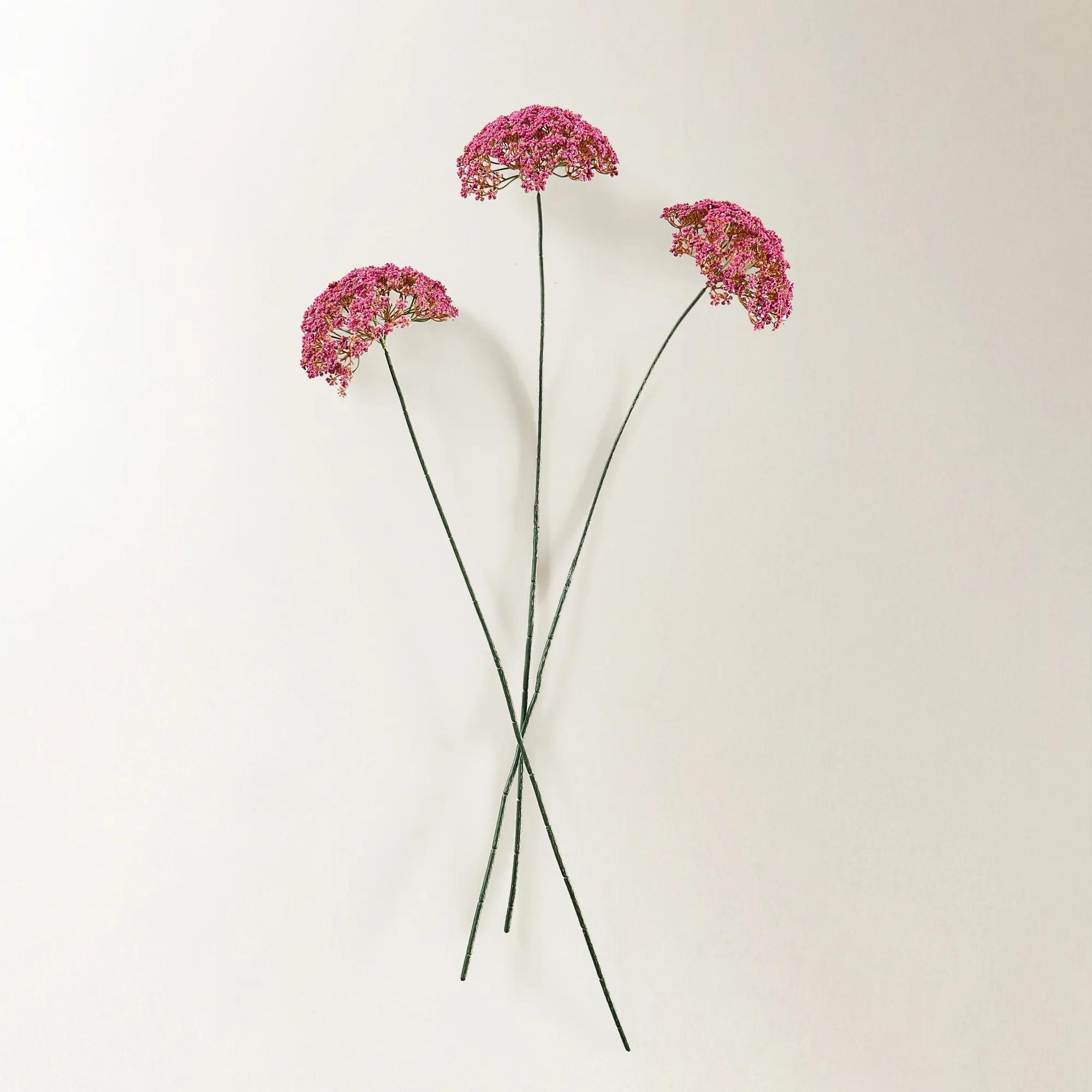 Berry Pink Heracleum 29" - Set of 3