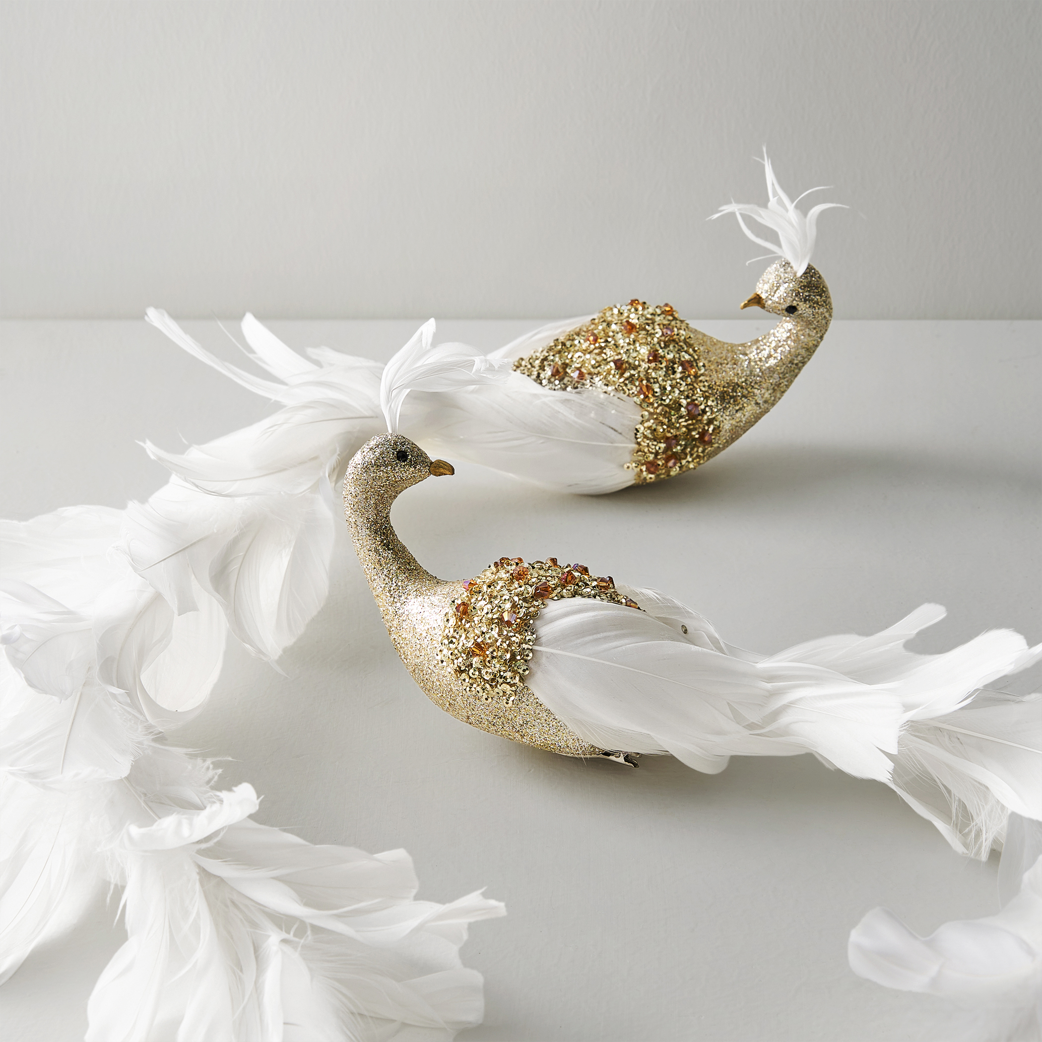 Feathered Peacock Clip - Set of 2