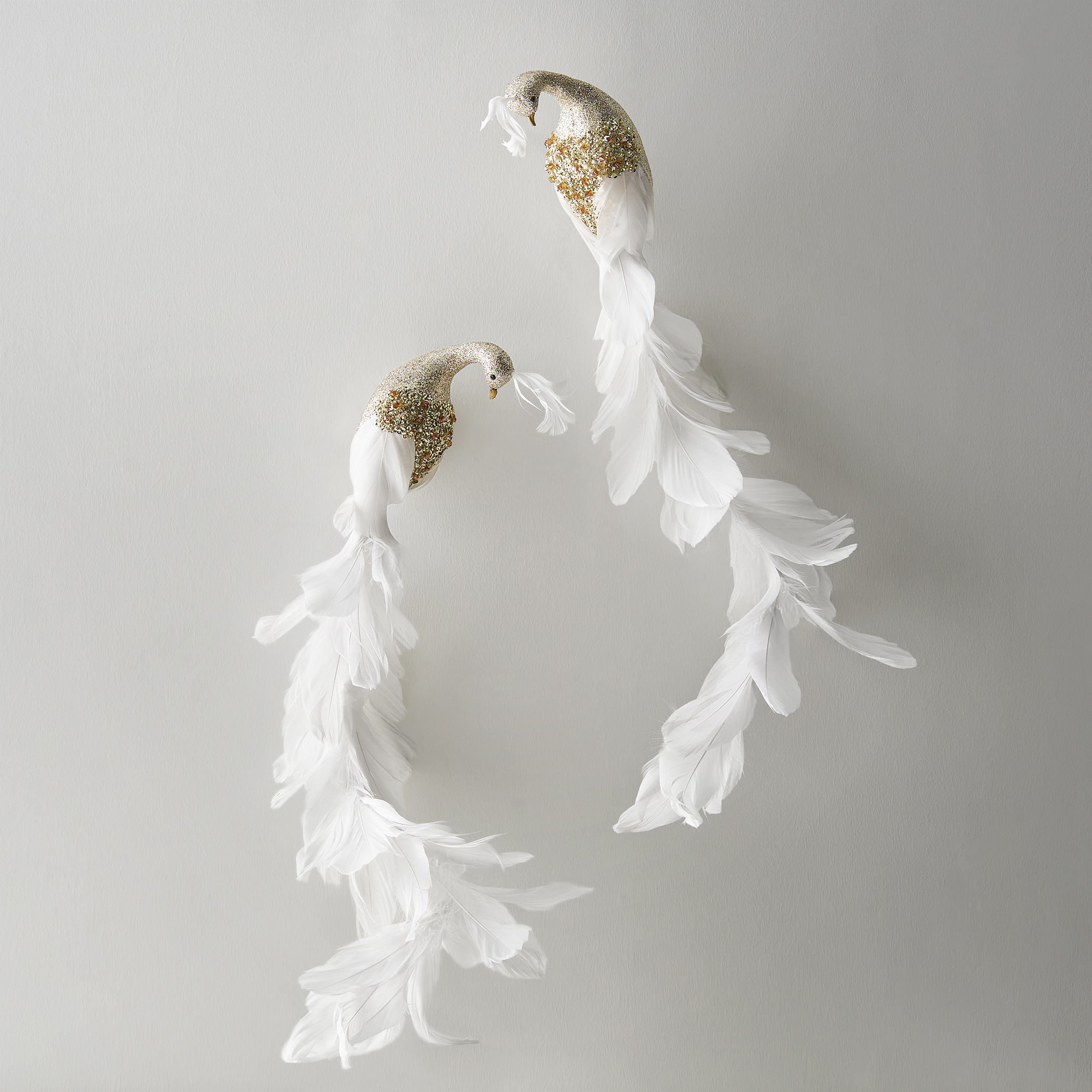 Feathered Peacock Clip - Set of 2